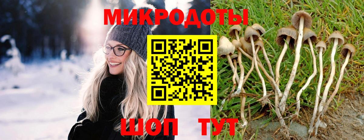 Галлюциногенные грибы Magic Shrooms  Галлюциногенные грибы прущие грибы  Можга  Вход с VPN 