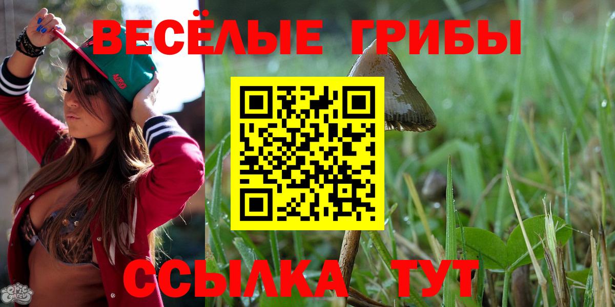 Псилоцибиновые грибы Magic Shrooms Можга